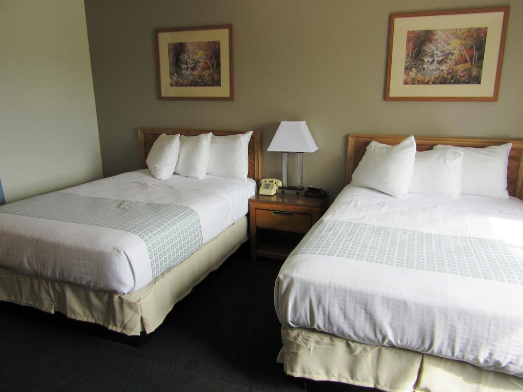 White Buffalo Hotel West Yellowstone Rum bild